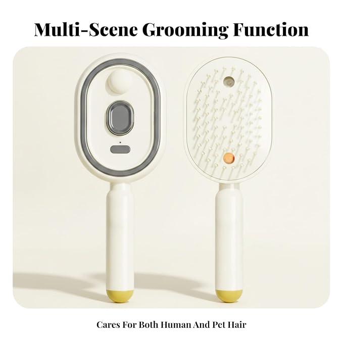 Rechargeable Steam Hair Brush